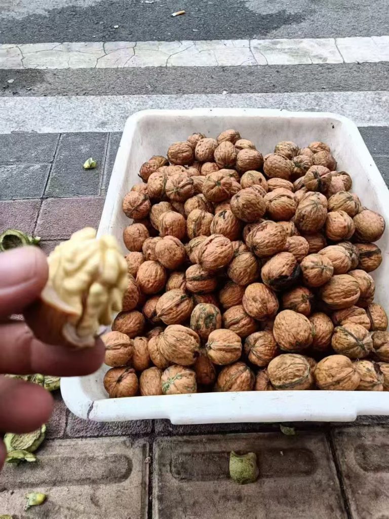 iamsea网络推广公司网络推广平台