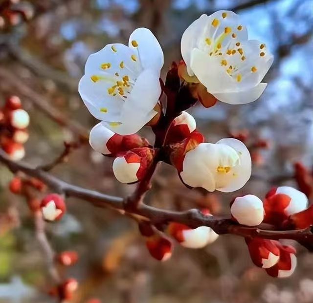 I Am Sea全网推广，视频推广，自媒体推广，电商代运营，百科制作：百度百科、人物百科、360百科、品牌百科、企业百科、抖音百科 联系+++V：IAmSeaNet 品牌推广、撰写文案、