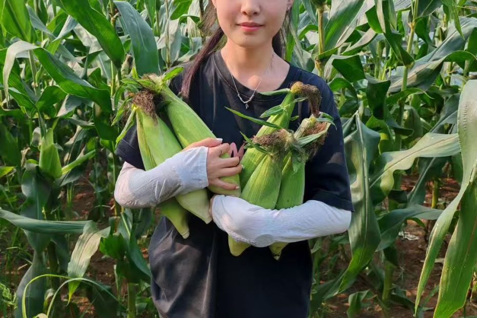 I Am Sea网络推广