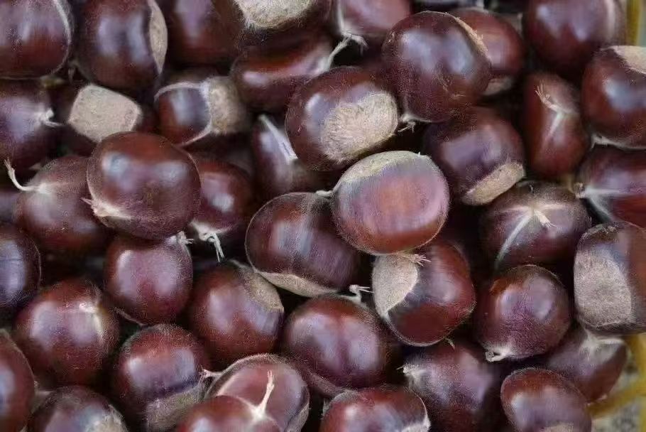 iamsea网络推广公司网络推广平台 I Am Sea网络推广公司