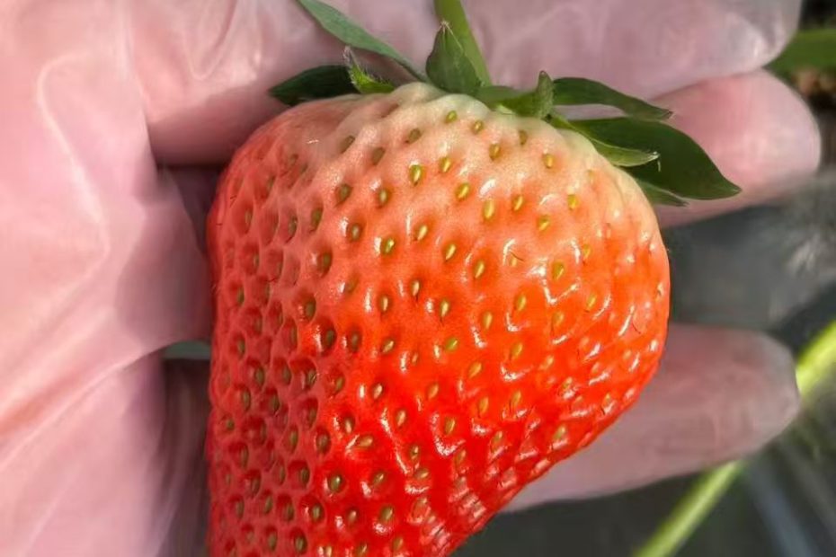 iamsea网络推广公司网络推广平台